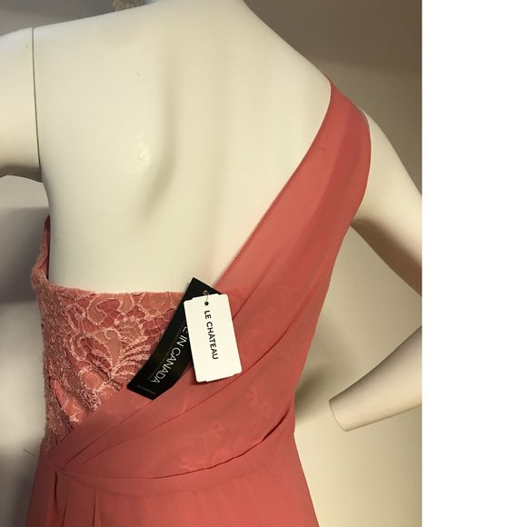 MADE IN CANADA Le Chateau PLUS SIZE Peach Corral Pink Lace Chiffon Bodycon dress - Picture 2 of 4
